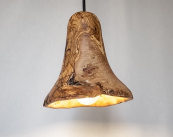 Branchez le pendentif de plafond en bois, abat-jour en bois fabriqué à la main, lampe de plafond unique, lampe de plafond en bois