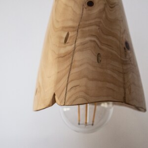 Plug in Wooden Lamp, Pendant Light, Rustic Wooden Hanging Lamp, Scandinavian Lamp image 7