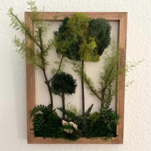 May include: A rectangular wooden frame containing a wall art piece featuring preserved moss and twigs. The arrangement includes various shades of green moss, thin brown branches, and fern-like foliage, creating a layered forest scene.