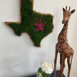 May include: A wooden Texas-shaped wall hanging filled with green moss and a maroon star. A carved wooden giraffe and a small white vase with a white flower are also visible, creating a rustic and natural aesthetic.