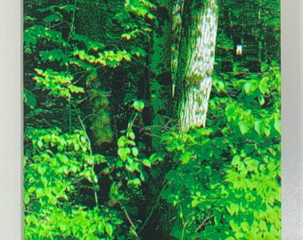 Upstate New York Solitude Zine : souvenirs, photographie de paysages