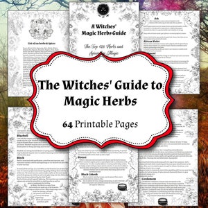  Holy Santo Organic Dried Herbs for Witchcraft Supplies Kit - 10 Witch  Herbs for Spells with Crystal Spoon in Beginner Witchcraft Kit - Witchy  Gifts, Wiccan Herbs and Supplies, Spell Kits