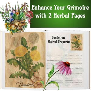 Dandelion Magic Herb Prints Set - Bring Nature&#39;s Magic into Your Space