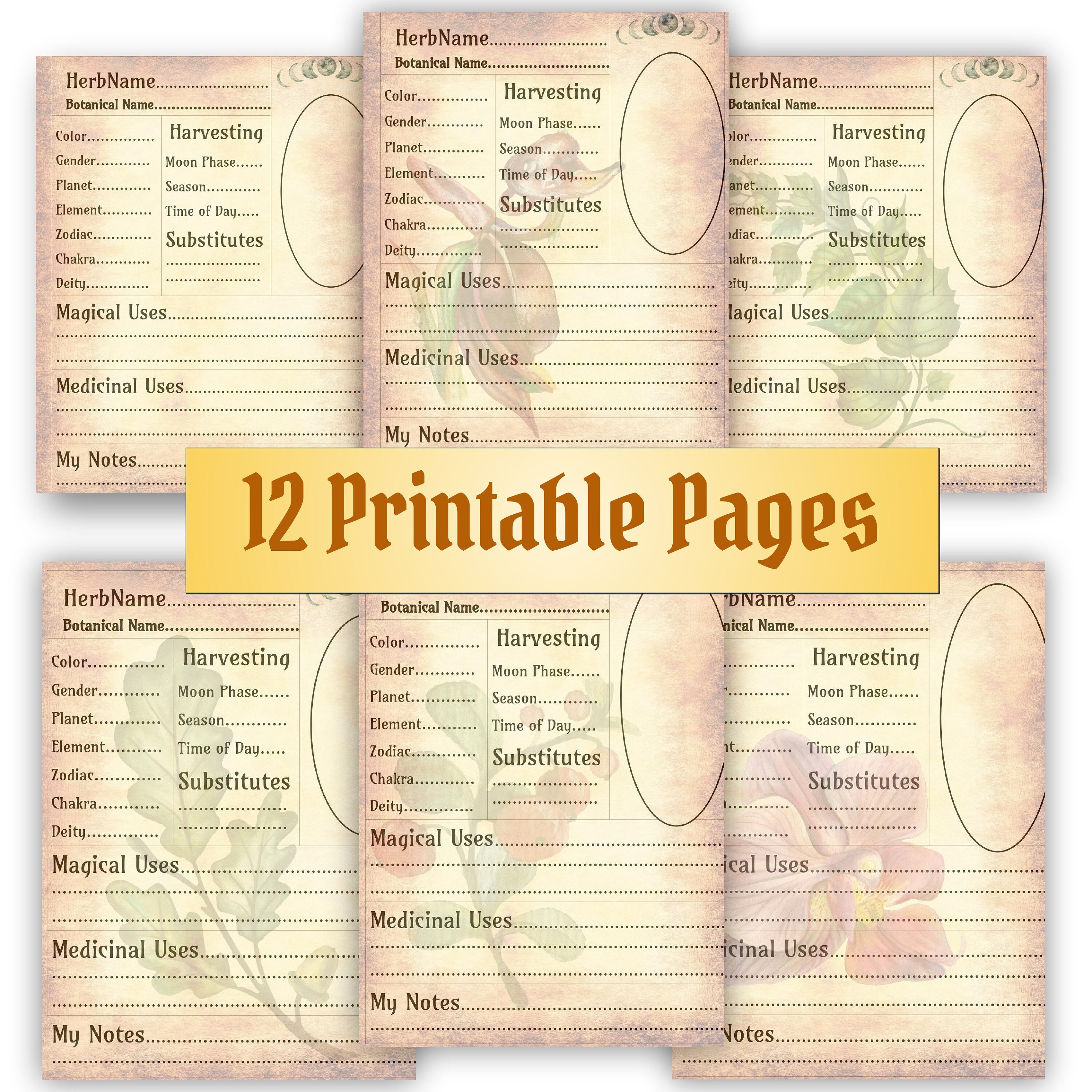 Herbs Blank Grimoire Worksheet BOS Witchcraft Herbology Baby - Etsy Canada