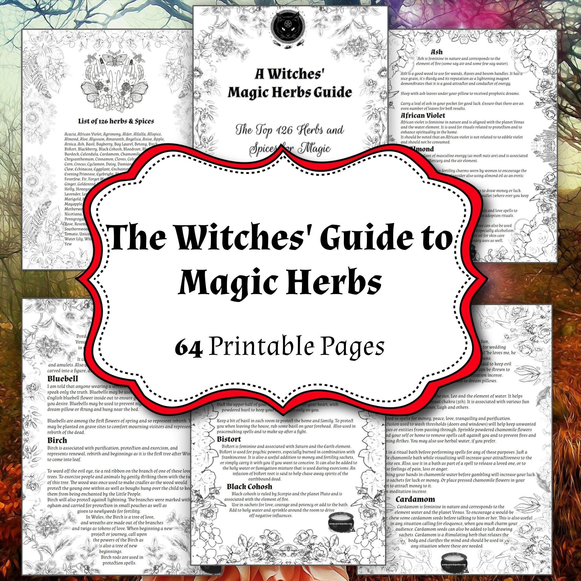 126 Pagan Magical Plants, Spaces and Herbs Correspondence, Kitchen  Witchery, Basic Witchcraft, Green Witch Grimoire Magic Guide 