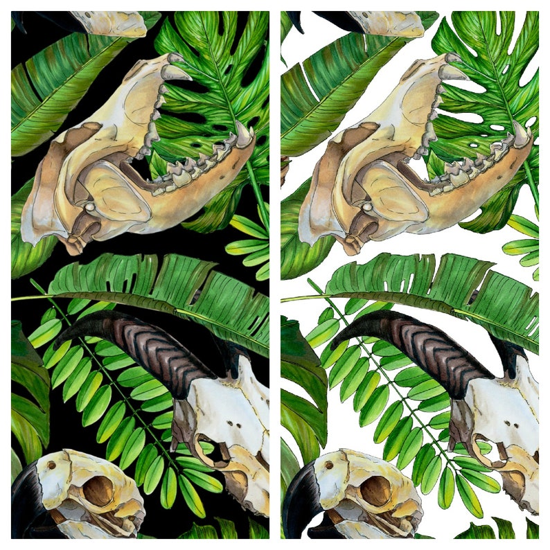 Where did voodoo come from picture