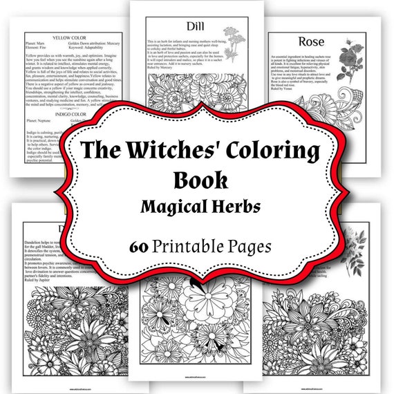 Witchcraft Herbs - 60 Herbs for Witchcraft - Witch Herbs - Witchcraft Kit  of Dried Herbs for Witchcraft - Wiccan Supplies and Tools - Witch Herbs for