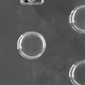 AO146 Mini Plain  Cookie Chocolate Candy  Mold
