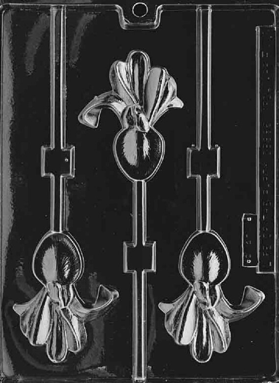 Grandmama's Goodies B073 Baby Block Pretzel Lollipop Lolly Shower Chocolate Candy Soap Mold With Exclusive Molding Instructions