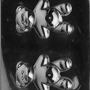 Op de afbeelding: Een doorzichtige plastic mal met twee beer-vormige holtes. De mal is ontworpen voor het maken van beer-vormige lekkernijen, waarschijnlijk chocolade of snoep. De onderkant van de mal heeft de tekst "LIFE OF THE PARTY 08886C FDA APP A28".