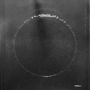 Può includere: Uno stampo in plastica trasparente e rettangolare con un design circolare smerlato al centro. Lo stampo ha una superficie liscia e una piccola linguetta in alto. Una linea orizzontale è in basso.