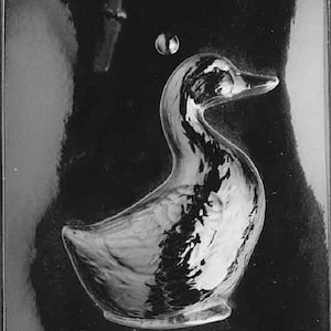 A073A & B 3D Goose Chocolate Candy or Soap Mold