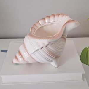 Peut inclure: Un pot de fleurs en céramique blanche en forme de coquillage, avec un bord et des rayures roses. Le pot a la forme d'un coquillage, avec une large ouverture et une surface texturée. Le pot est posé sur une pile de livres blancs.