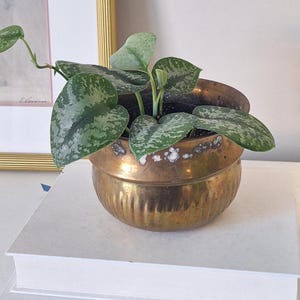 Vintage Brass Planter Pot: Patina Finish, Indoor Plant Cachepot