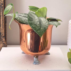 Vintage Copper plant pot brass claw foot  indoor planter cover cache pot - aged