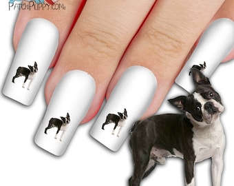 Jack Russell Terrier Black Faux Carbon Fibre Manicure Set Nail Kit Christmas