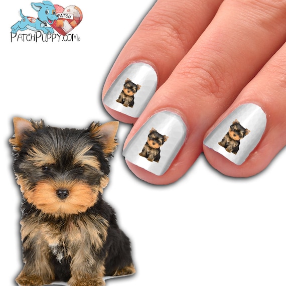Way Too Cute Yorkie Puppy Nail Art Kit Dog Nail Decals Etsy Way Too Cute Yorkie Puppy Nail Art Kit Dog Nail Decals Etsy