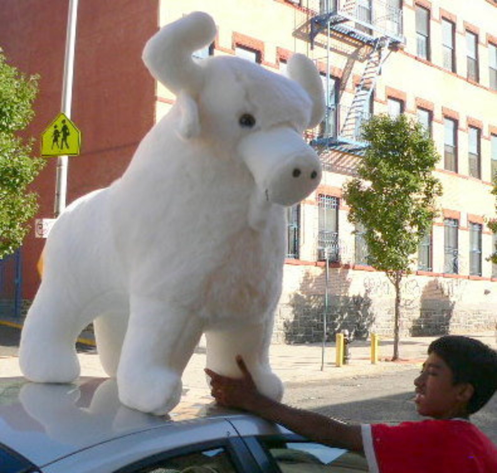 stuffed white buffalo