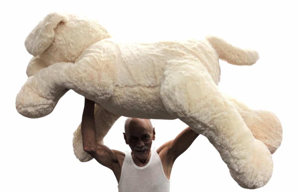 Large labrador teddy top
