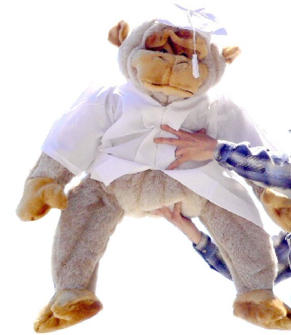 giant graduation bear