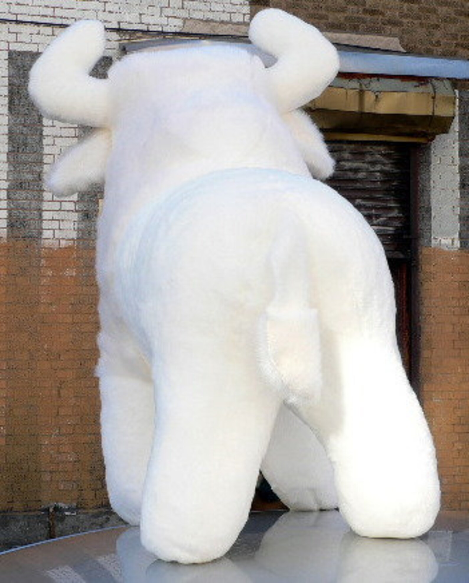 stuffed white buffalo