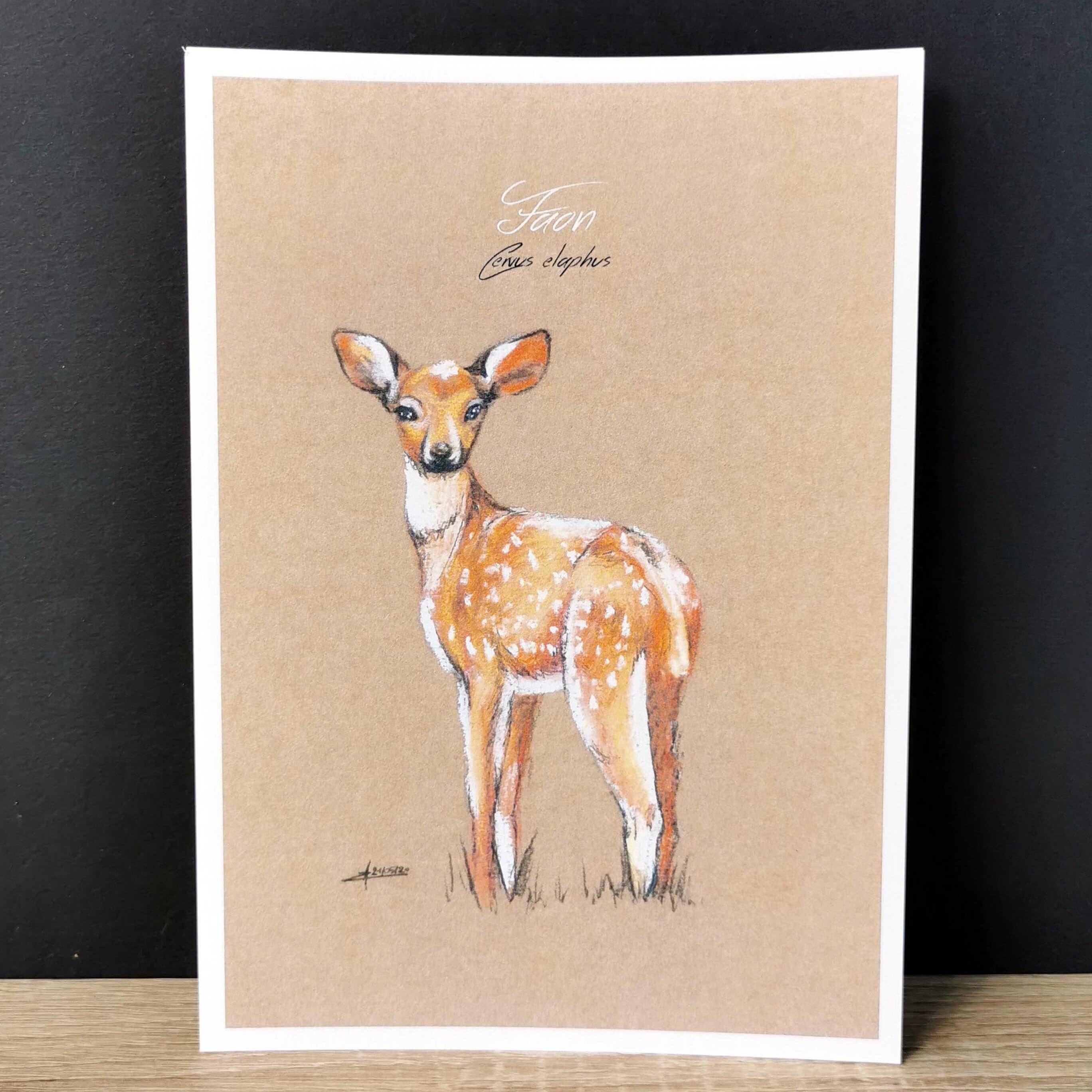 Affichette Biche Faon Cerf Carte Décorative Illustration Naturaliste Imprimée Art Mural