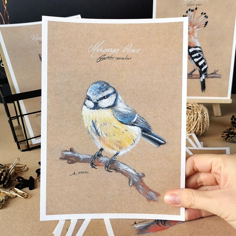 Affichette A5 Oiseau Carte Murale Mésange Bleue Illustration Naturaliste Imprimée Art Mural