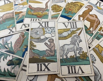 c.1780 Belgian Animal Tarot Pharasyn