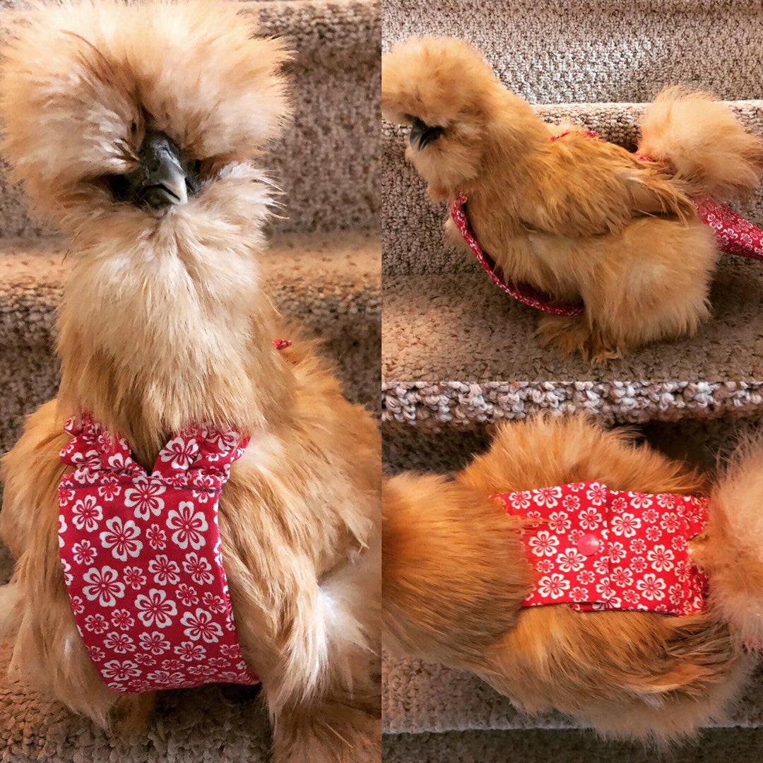 Chicken Diapers MADE TO Order,hen Diapers, Waterproof Chicken Diapers