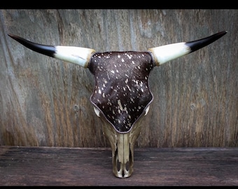 Metallic Gold Steer Skull With Acid Washed Cowhide