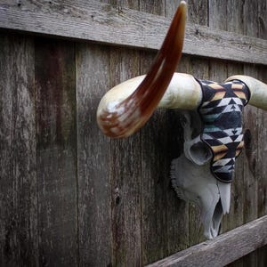 May include: A decorative steer skull with long, curved horns. The horns are cream-colored with brown tips. A patterned fabric band in black, cream, and orange adorns the base of the horns. The skull is mounted on a weathered wooden fence.