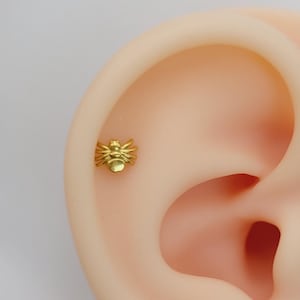 20G/18G/16G Spider Push Pin Labret, Threadless Flat Back Earrings, Tragus Stud, Flat Back, Helix Stud, Cartilage Nose, Halloween Gothic