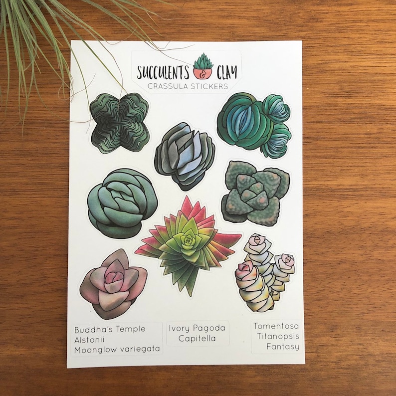 diary sticker Plants Sticker Stickers Succulent Stickers Crassula Stickers Journaling Crafts Scrapbooking Cute Stickers