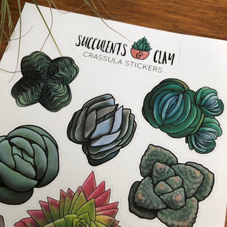 diary sticker Plants Sticker Stickers Succulent Stickers Crassula Stickers Journaling Crafts Scrapbooking Cute Stickers
