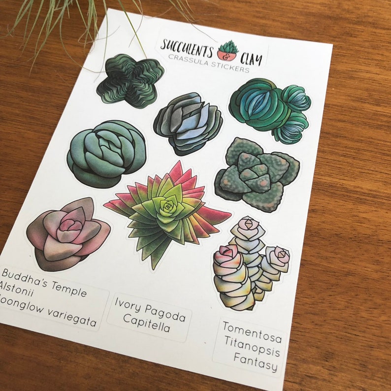 diary sticker Plants Sticker Stickers Succulent Stickers Crassula Stickers Journaling Crafts Scrapbooking Cute Stickers