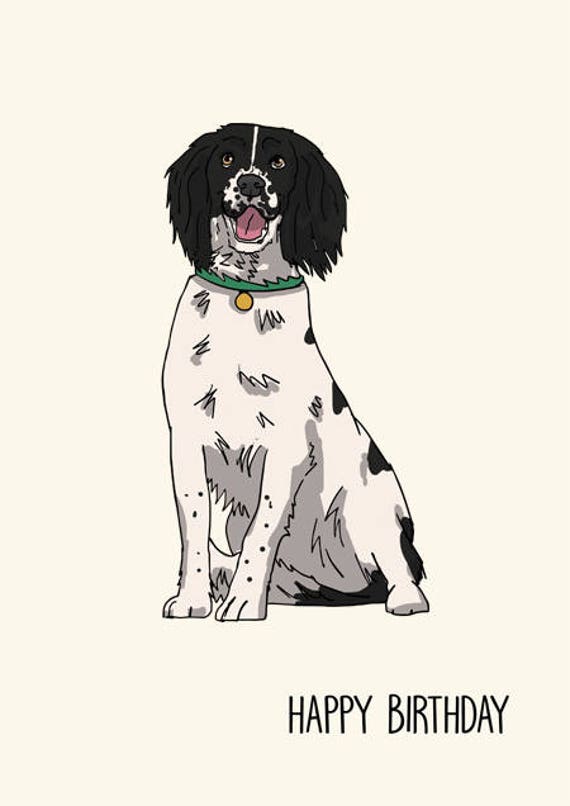 SPRINGER SPANIEL CHRISTMAS or BIRTHDAY CARD Personalised /& illustrated in /& out