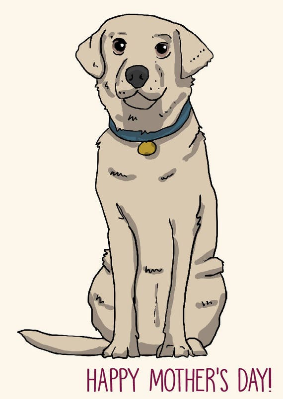 happy mothers day labrador