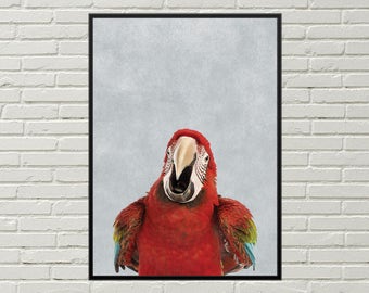 MACAW print, exotic bird art, rainforest art, parrot poster, macaw poster, macaw art, parrot picture, exotic bird picture, bird print decor