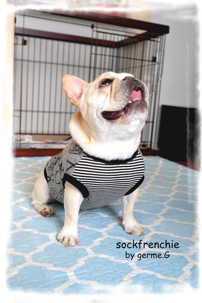 French bulldog outfit French bulldog clothes French bulldog clothing Alphabet pattern tank top sockfrenchie