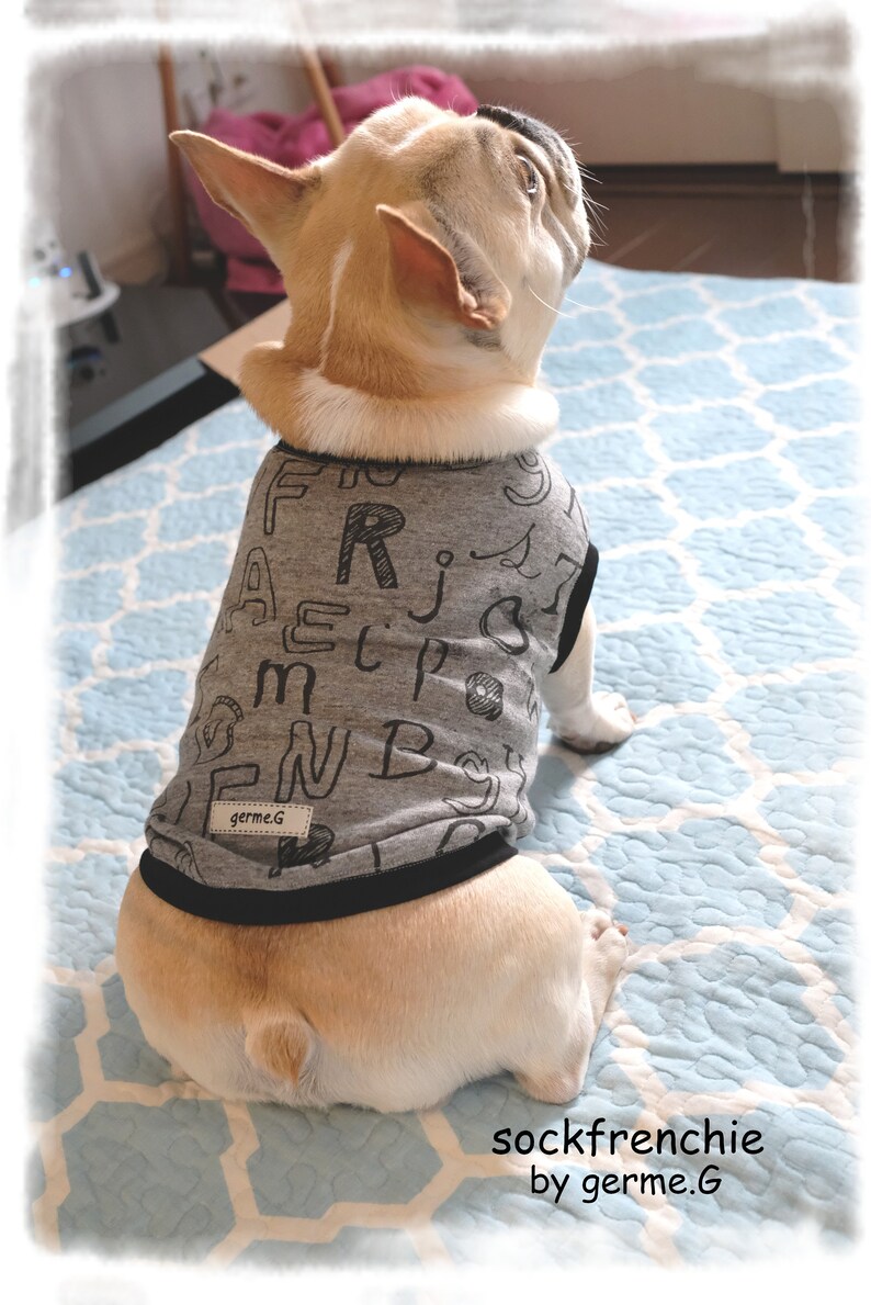 French bulldog outfit French bulldog clothes French bulldog clothing Alphabet pattern tank top sockfrenchie