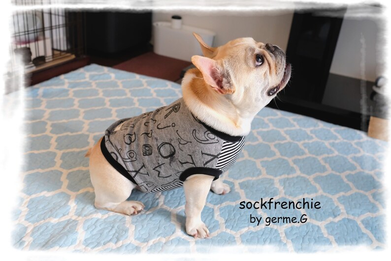 French bulldog outfit French bulldog clothes French bulldog clothing Alphabet pattern tank top sockfrenchie
