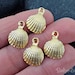 Matte Gold Seashell Charms, Clam Shell Charms, Scallop Shell, Shell ...