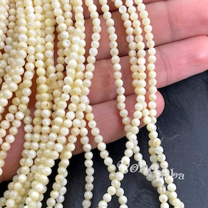 May include: A strand of white shell beads, approximately 4mm in diameter. The beads are round and have a slight iridescent sheen.