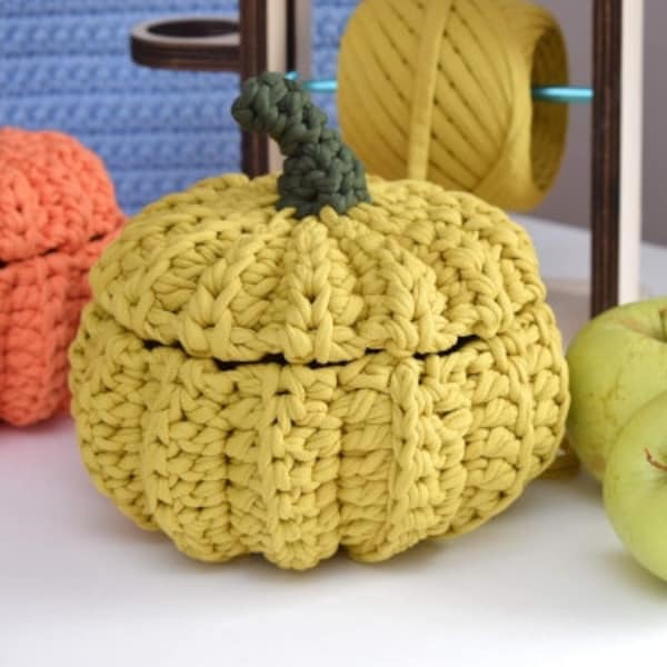 Video tutorial/Crochet Pumpkin basket video master class