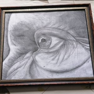 Pencil Portrait Close Up Drawing of an Eye