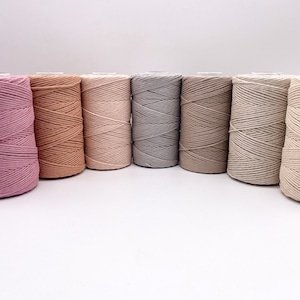 May include: A collection of spools of macrame cord in various neutral colors, including pink, tan, gray, and cream. The cords are tightly wound and arranged in a row against a white background, ideal for crafting projects.