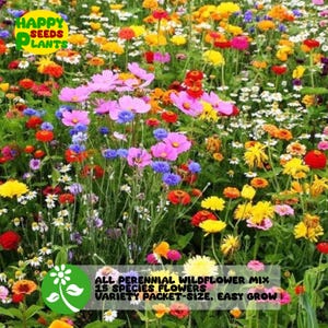 15 Species Flowers All Perennial Wildflower Seed Mix 1/4 Lb