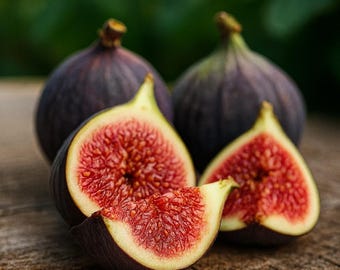 100+ Texas Blue Giant Fig Seeds | Rare Sweet Dark Fruit | Hardy Garden Plant