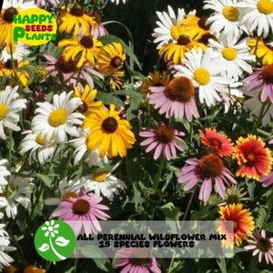 15 Species Wildflower Mix Flowers, Variety Packet-Size, Easy Grow