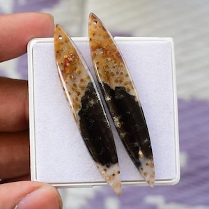 May include: Two elongated, polished gemstone pendants. The pendants feature a mix of colors, including brown, black, and white, with a speckled pattern. Each pendant has a small hole at the top for stringing. The gemstones are displayed in a white box.